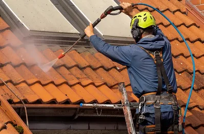 Démoussage et hydrofuge de toiture à Troyon